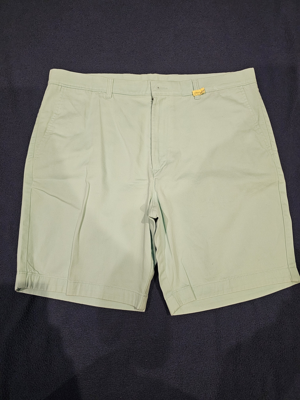 Roundtree & Yorke Mint Green Flat Front Performance Shorts